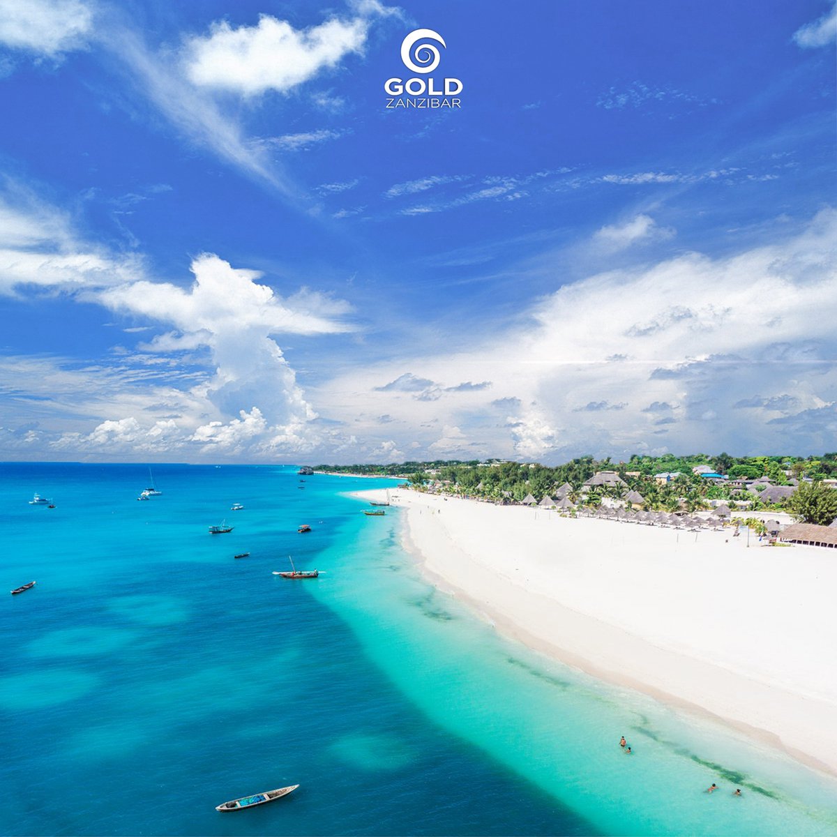 GoldZanzibar's tweet photo. @GoldZanzibar, the #Zanzibar Experience!

🔱 https://t.co/0B44luHTuW 🔱 https://t.co/mDj7eDe9S6