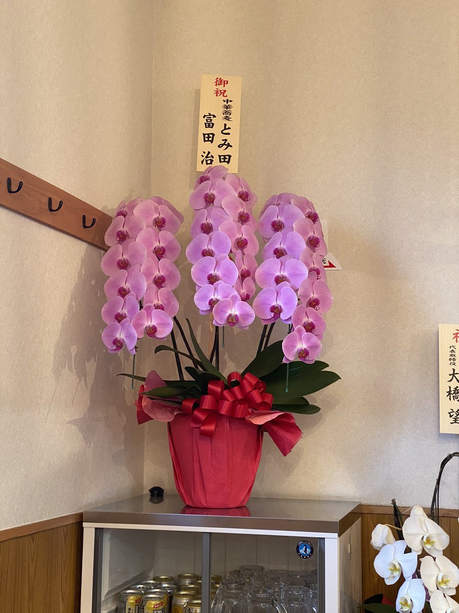 jobstyle_0512's tweet photo. 【佐貫大勝軒ゆう@土浦】
特製濃厚つけ麺+心の味餃子(2個)
11月に店名を佐貫大勝軒ゆうに変えリニューアルしたこちらへ遅いランチへ😋
濃厚はいわゆる豚骨魚介のつけ麺😆久々に食べたけど美味いね~🎵
そんで餃子デカっw😳😳😳
1つで3個近くあんじゃね🤣これが超美味っ😍💕🍺飲みたかった~���� https://t.co/mGGewjZS4t