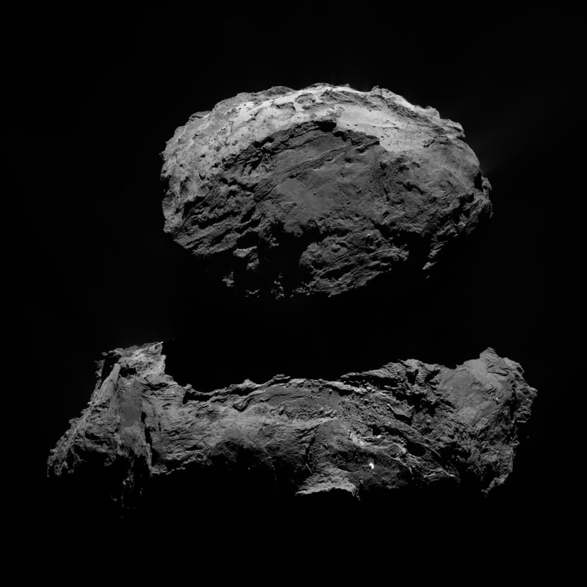 Rosetta_OSIRIS's tweet image. We also added images of processing level 3, in which the distortion from the cameras’ mirrors is corrected and solar stray light removed. Find the download button on the large view: rosetta-osiris.eu/image/NAC_2015…