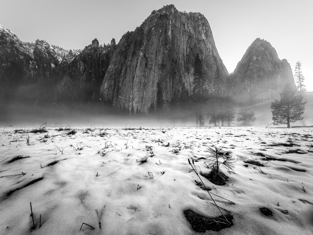 FlorianSIN's tweet photo. Mystical Valley https://t.co/4B49WTxvbi https://t.co/UrkzLTIdRK
