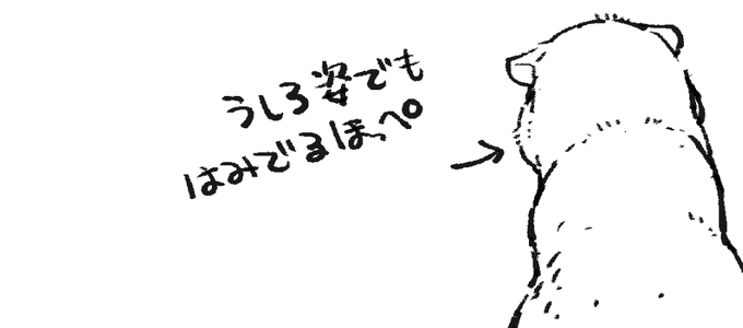 ほっぺのラインが神がかってる曲線でほんと何…かわいい??
たぬゆ描くとき普通の狸を参考にしてるけど我が家のお猫見て描いてることすごく多いんです? 