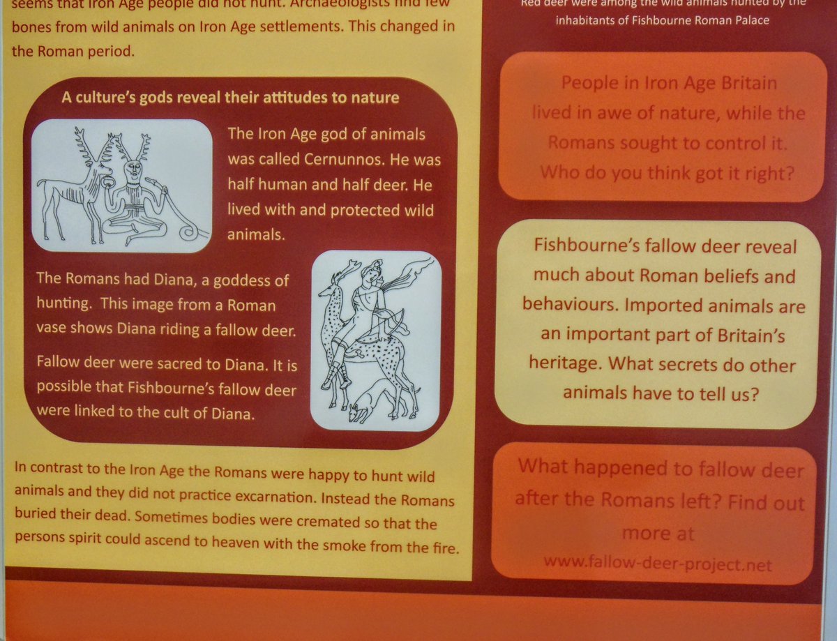 CarolineLawrenc's tweet photo. In the reign of the Emperor Domitian, three Roman children flee to Britannia. They visit Londinium and also Fishbourne Roman Palace, where they briefly encounter imported fallow deer. Read a sample here: https://t.co/Bdr11cdETb #dama @deerproject #research #RomanBritain #KS2 https://t.co/sIHLzHUxO2