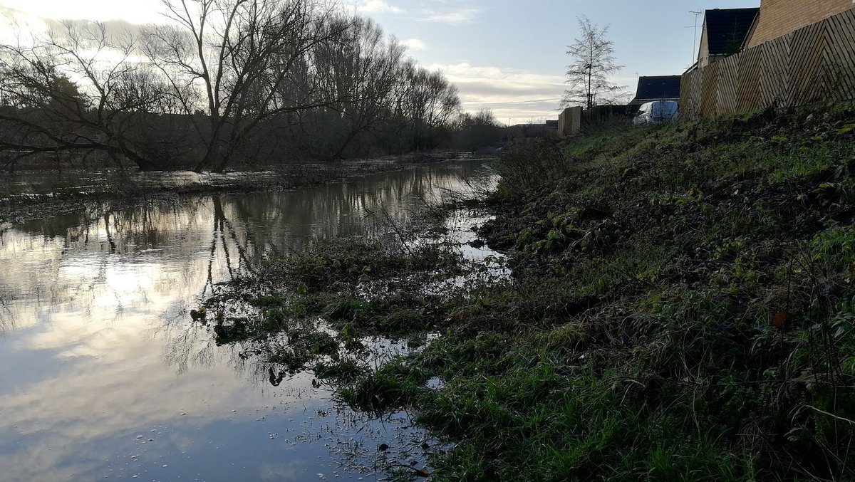 Leighton Net tweet media