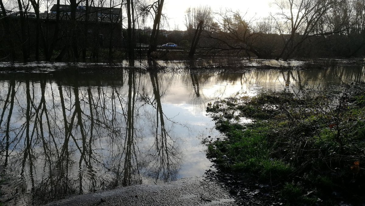 Leighton Net tweet media