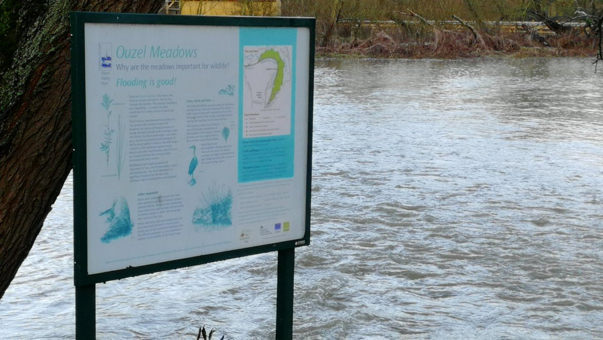 Leighton Net tweet media