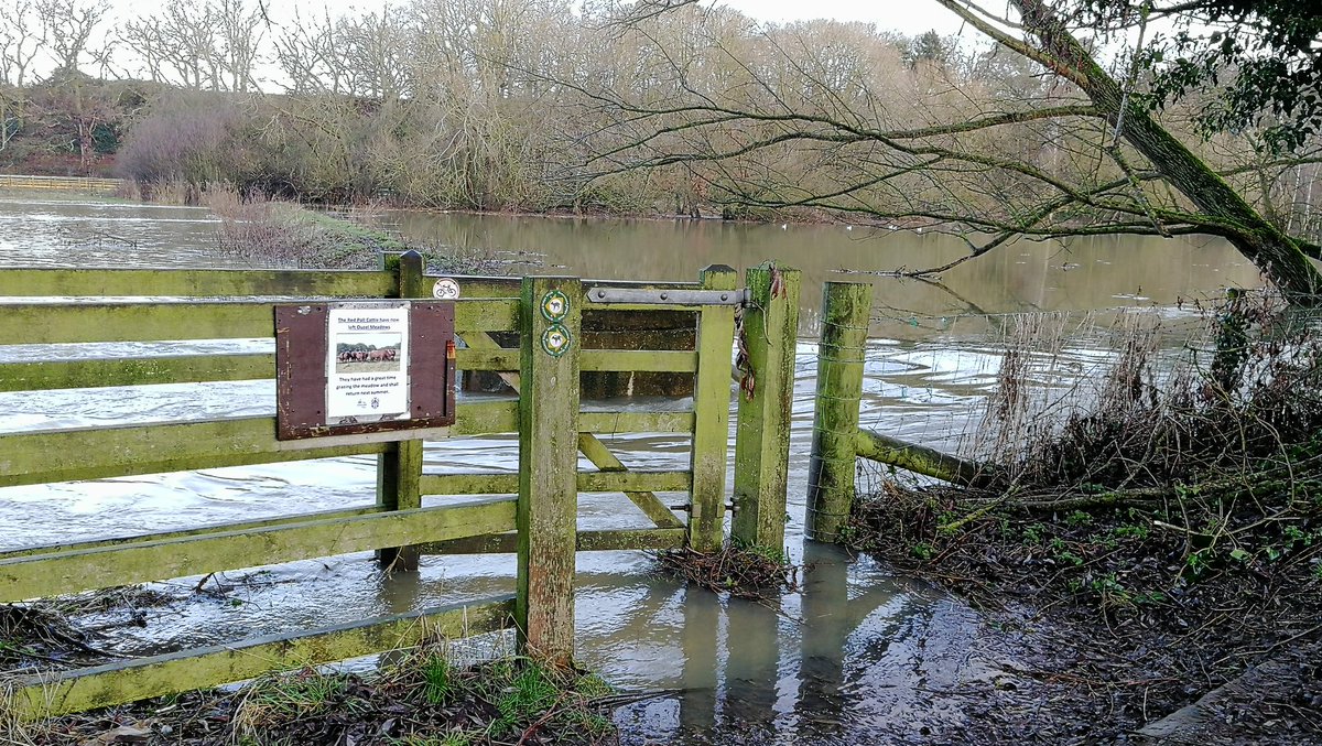 The path and river have joined.