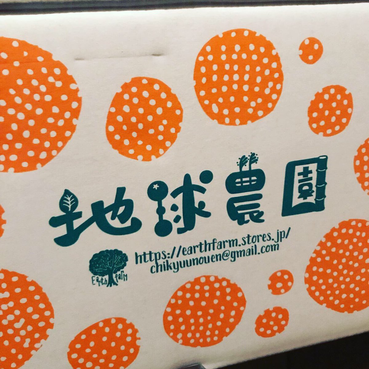 MIYAKE_YOHEI's tweet photo. 熊本「地球農園」(2015年の熊本市議選1358票にて惜しくも落選の園田みつよし君のところ)の自然栽培7年目ミカン (10kg ¥5000-) 
激烈旨！
そして長野の山口家からは妊婦用のサラシと林檎も届いた。愛ちゃんありがとう！
#冬の恵み https://t.co/ELJjBQjKuO