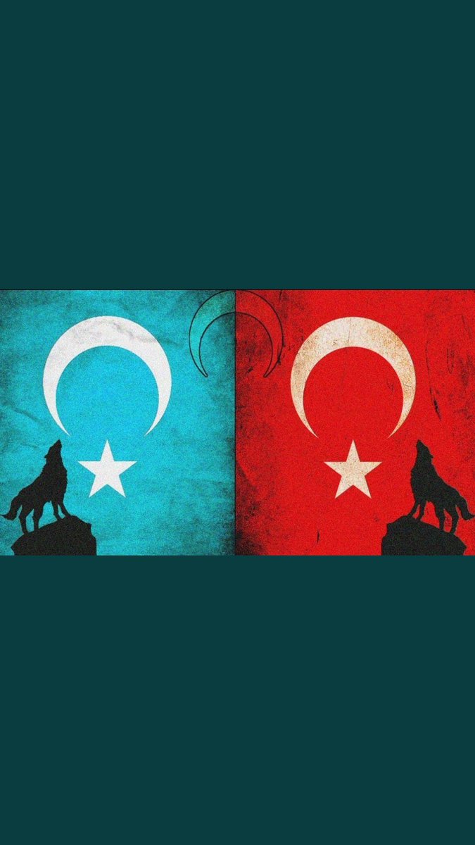 Doğu Türkistan’da kardeşlerimiz işkence görüyor, kızlarımızın namuslarına kastediliyor sesiz kalma ırkına sahip çık!!! #China_is_terrorist