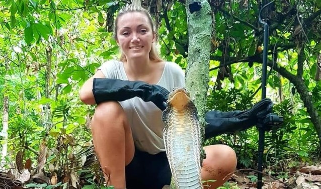 Sterrin maakt reptielen bemind dekoerier.nl/nieuws/algemee…