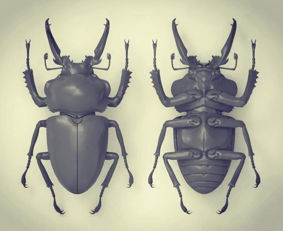 William_3DIN's tweet photo. 未完--待續--
#彩虹鍬形蟲
#beetle
#Lucanidae
#Toy
#sculpture
#modelkit
#animals
#resinkit
#resincast
#resinmodel
#cast
#kit https://t.co/wGONX70Ybq