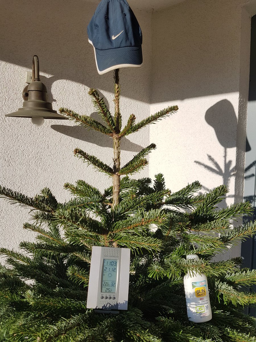 scowleton's tweet photo. #xmas2019 #sunblocker #artgerechtebaumhaltung #nofilter
Erstmal den Baum sonnenschutztechnisch ausgestattet und eingecremt. 😎 https://t.co/la2nlGBi4k