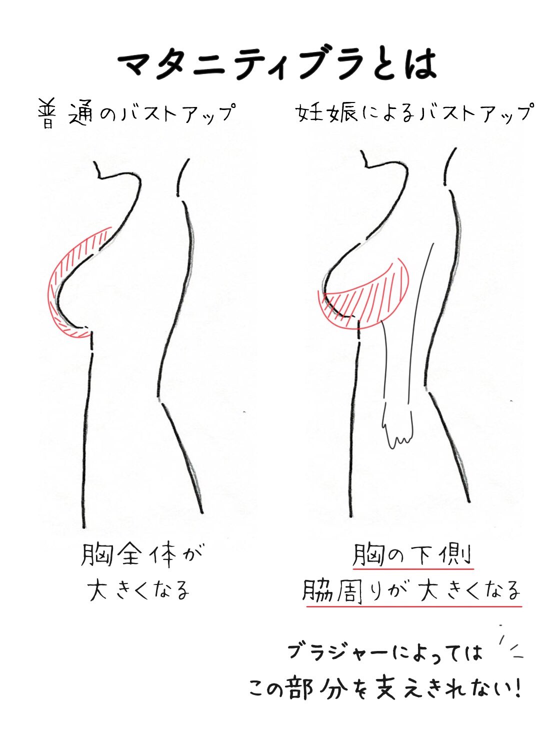 こじみく 24hブラの社長 恥ずかしながら私も最近知ったんですが 妊娠すると胸が大きくなる というのは バストアップとは全く違う現象で 単にブラのサイズを上げればいいってものじゃないみたいです ちなみに妊娠5ヶ月で1カップ 10ヶ月で2カップ
