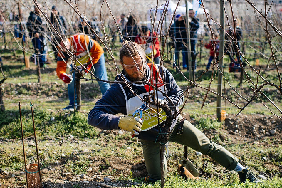 Bereilvino's tweet photo. 2° Festival del Potatore della vite: Dopo il grande successo della prima edizione, svoltasi il 9 marzo 2019 in Franciacorta, sarà il #ChiantiClassico ad ospitare il 2° Festival del Potatore della vite ideato e organizzato da #SimonitSirch, a cui sono… https://t.co/8FiKOJmGCI https://t.co/utJ9Vn8lOU