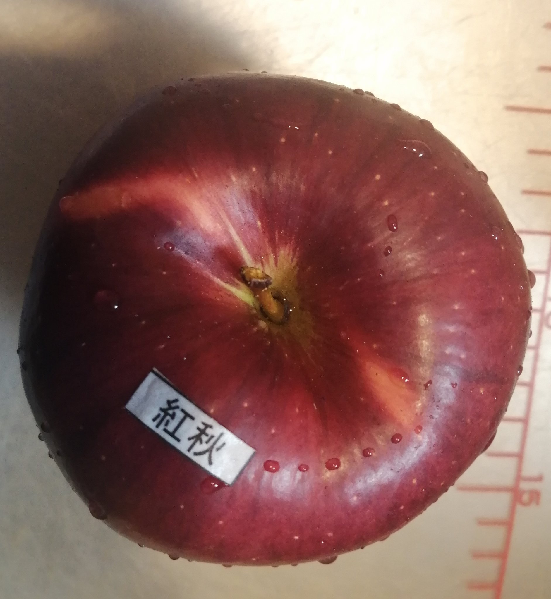 みみすけ 紅映 赤林檎 シャリシャリ柔め 届いた時に勝手に秋映と勘違いしていたがよく見ると紅映 ドス赤い色が綺麗で視覚的に美味しそう ほんのりした香りと汁気多め あと すごい甘い 酸味は無い フジより少し大きめで 一人で食べると程よい満腹感