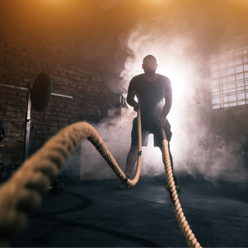 MyFitScoreApp's tweet image. To help you on your #fitness #journey we&apos;ve partnered up with several brands to offer you multiple #rewards &amp;amp; prizes along the way ✨ Upgrade to one of our premium #memberships and you&apos;ll receive multiple points allowing you to win even more prizes 🎁 - bit.ly/35v2ay0