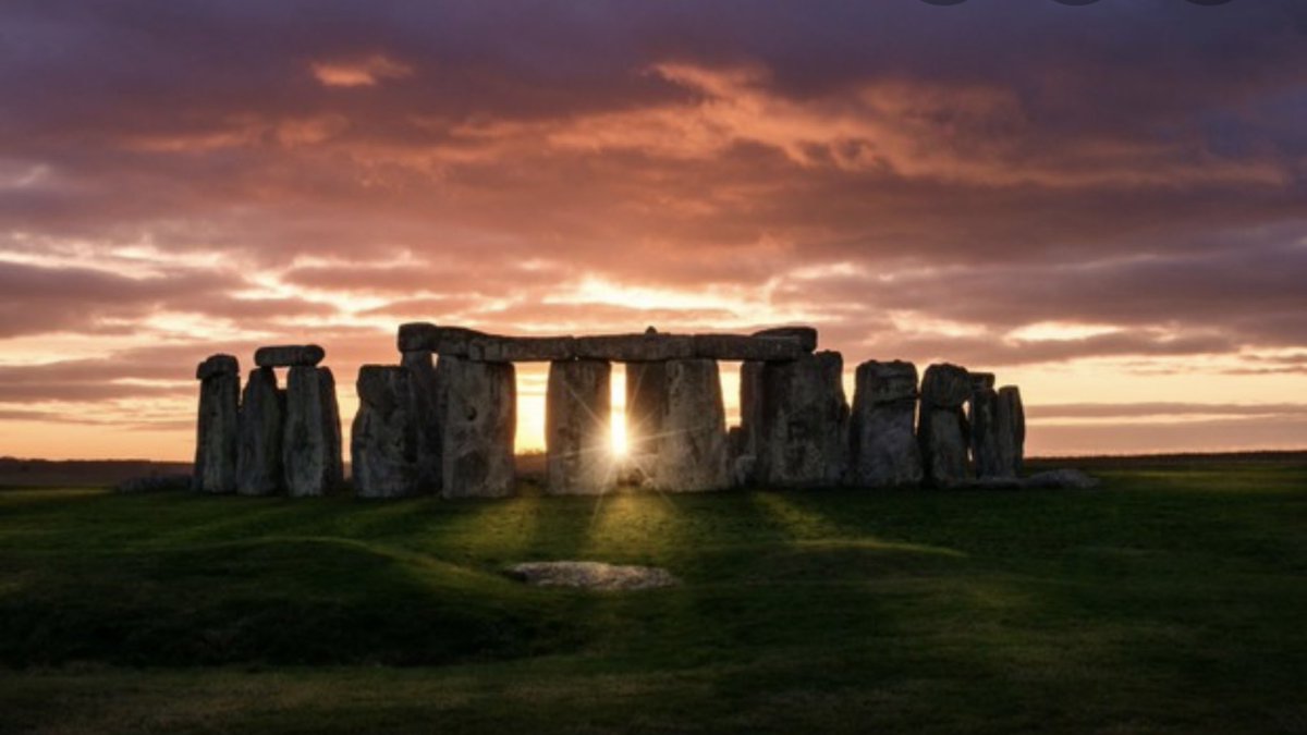 Alex Reid tweet media