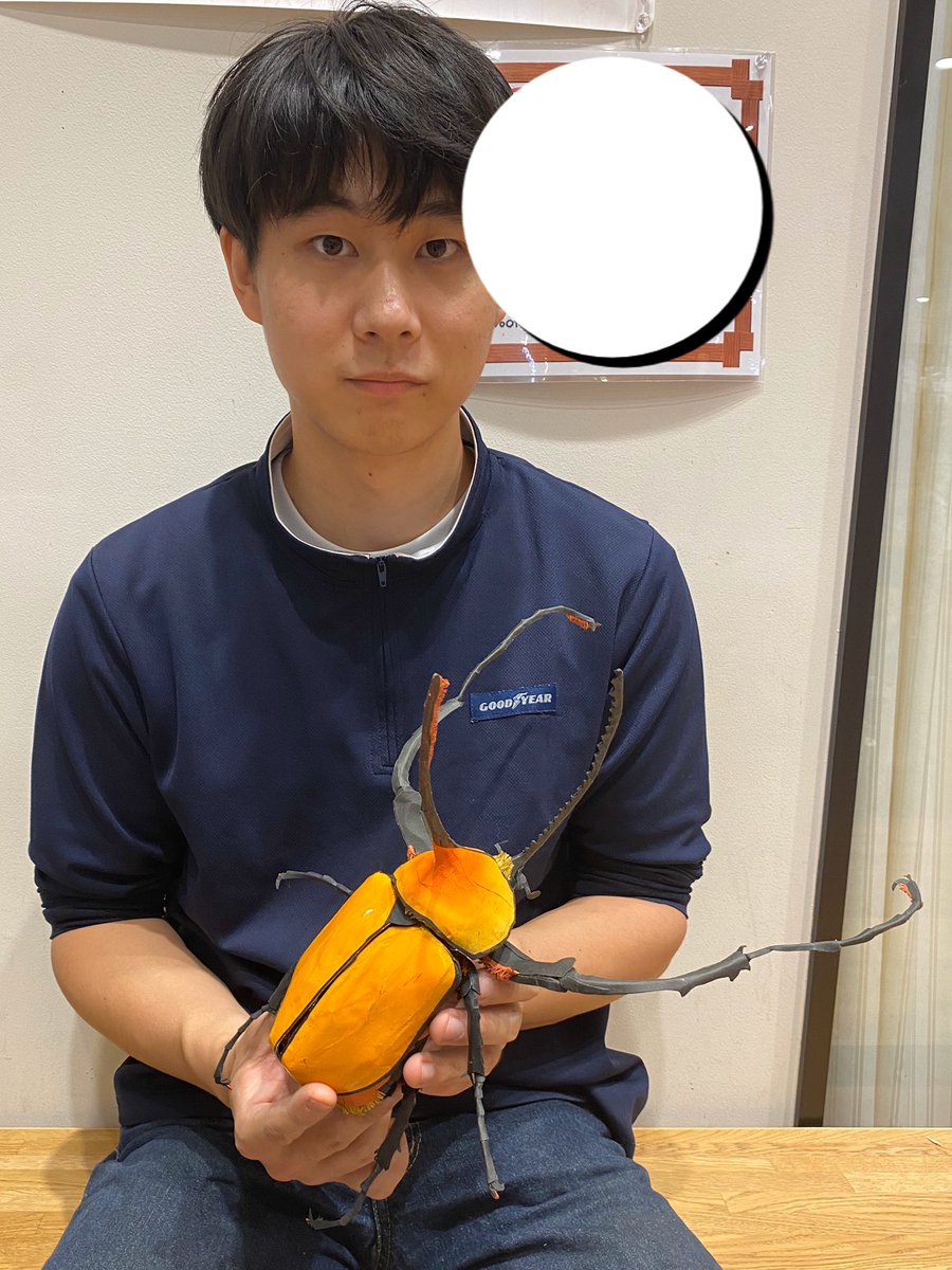 今度は巨大化した ノコギリタテヅノカブトが発見されました‼️ その