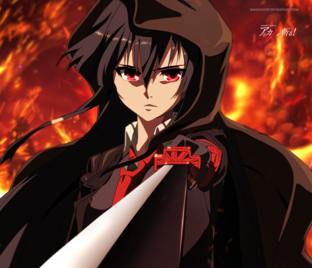 02:57 - 21 дек. 2019 г. Посмотрел Akame ga Kill.Знаете.Я никогда не любил с...