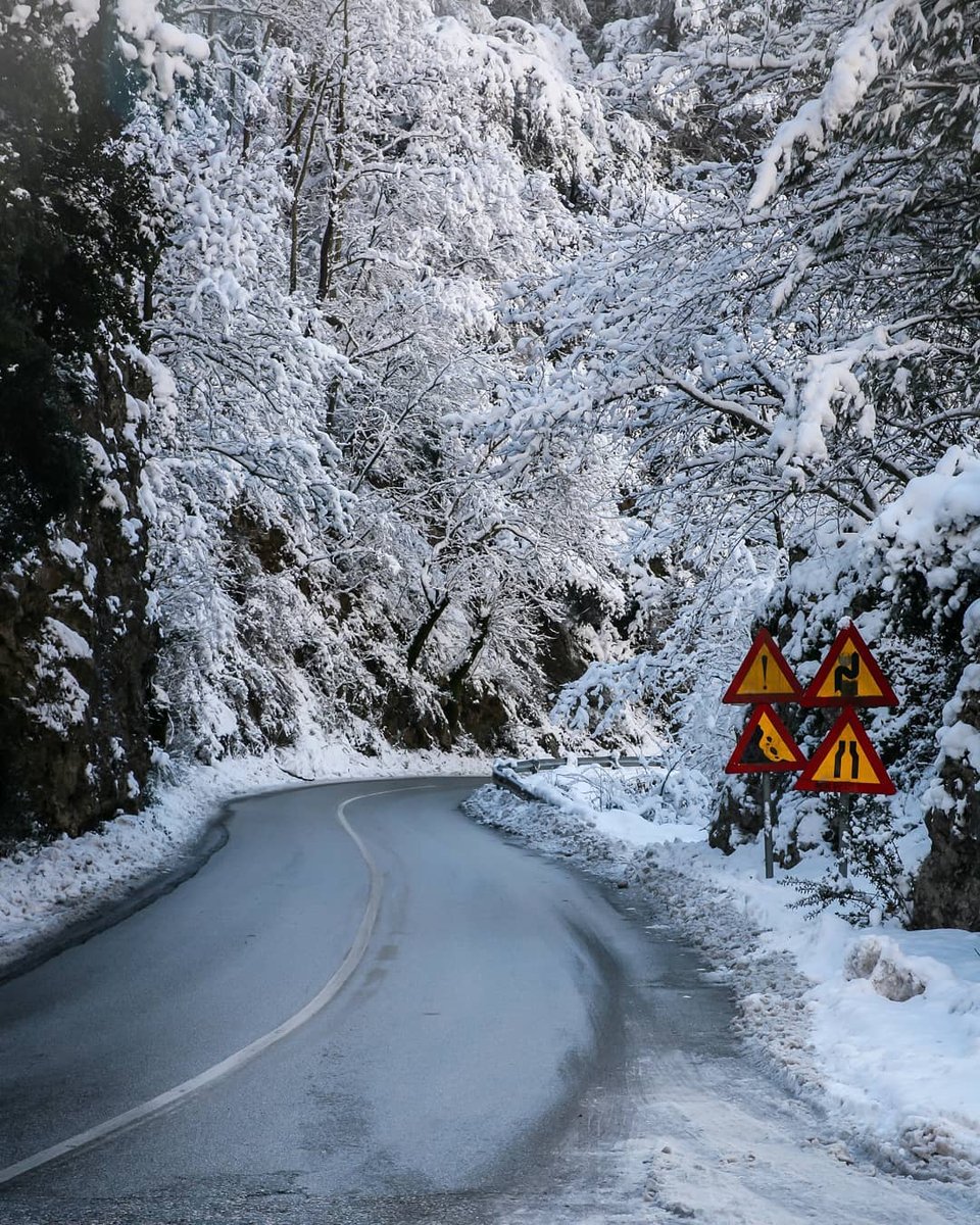 DiscoverGRcom's tweet photo. For those who want the holiday feeling to last… the fairy tale scenery of #Elati #Pertouli, in the Pindus mountains, is here to stay a while... ❄️ #DiscoverGreece
📷 vbatsi (IG)
#Greece #MountainStories #Thessaly #Elati #Pertouli https://t.co/L3zg32jNeq