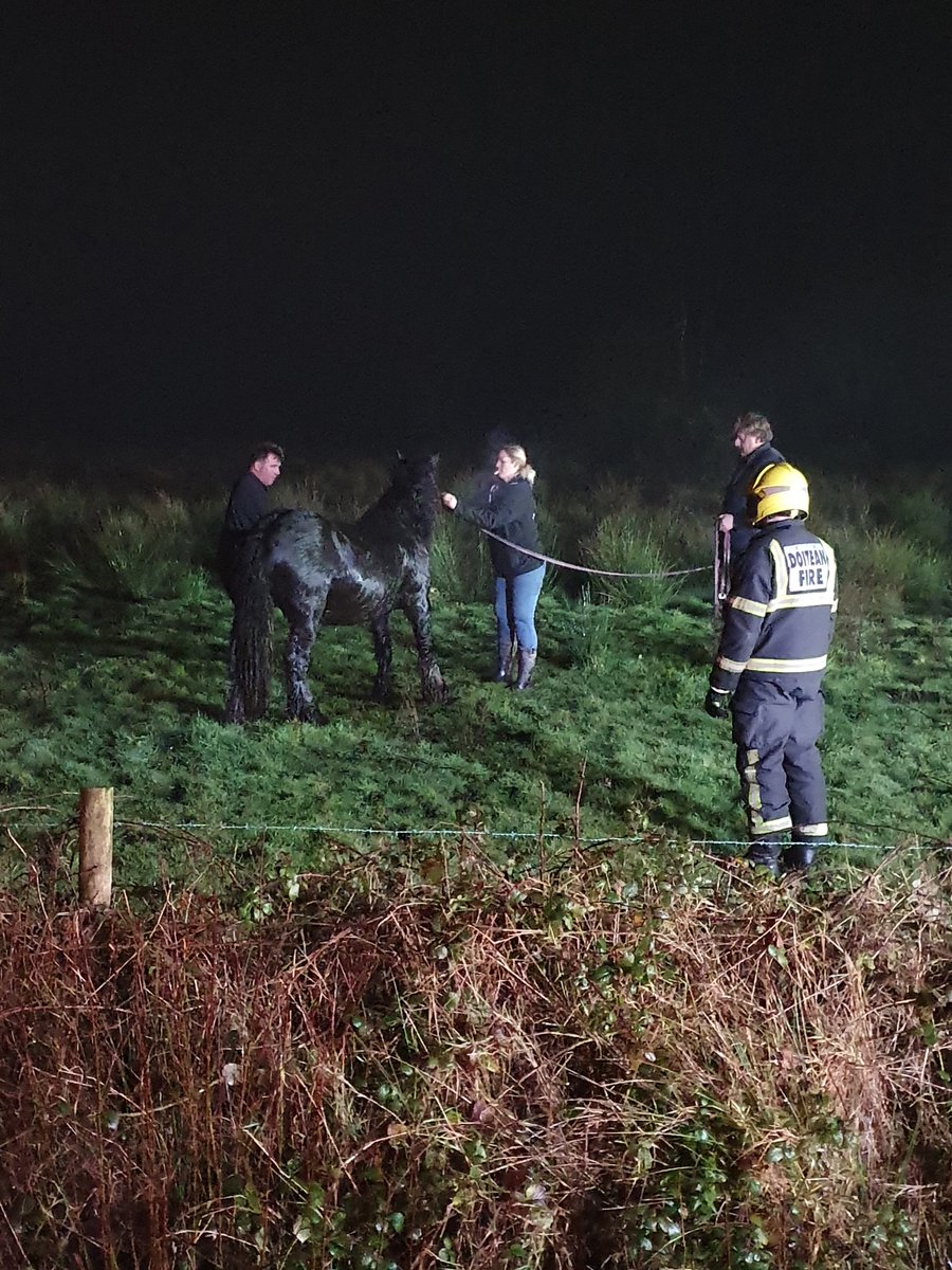 gardainfo's tweet photo. Gardaí &amp; Fire services from Longford spent 3 hrs last night rescuing a horse which had fallen into a bog drain 10ft deep with water. The horse
was successfully rescued after some delicate work &amp; now recovering at the
hungry horse foundation who also assisted emergency services https://t.co/cilUxzeKdI