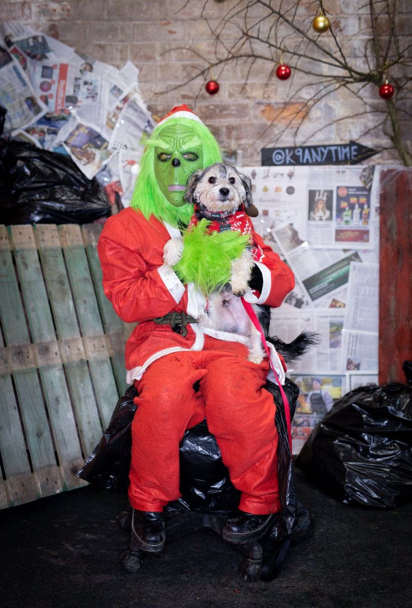 Katie_Ellen95's tweet photo. Max last weekend with Santa and Grinch 🎅🏻🎄🐶💙 #naughtyornice #Christmas #bichonfrise #yorkie #yochon https://t.co/Ux9PTOqq9K
