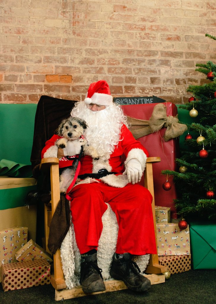 Katie_Ellen95's tweet photo. Max last weekend with Santa and Grinch 🎅🏻🎄🐶💙 #naughtyornice #Christmas #bichonfrise #yorkie #yochon https://t.co/Ux9PTOqq9K