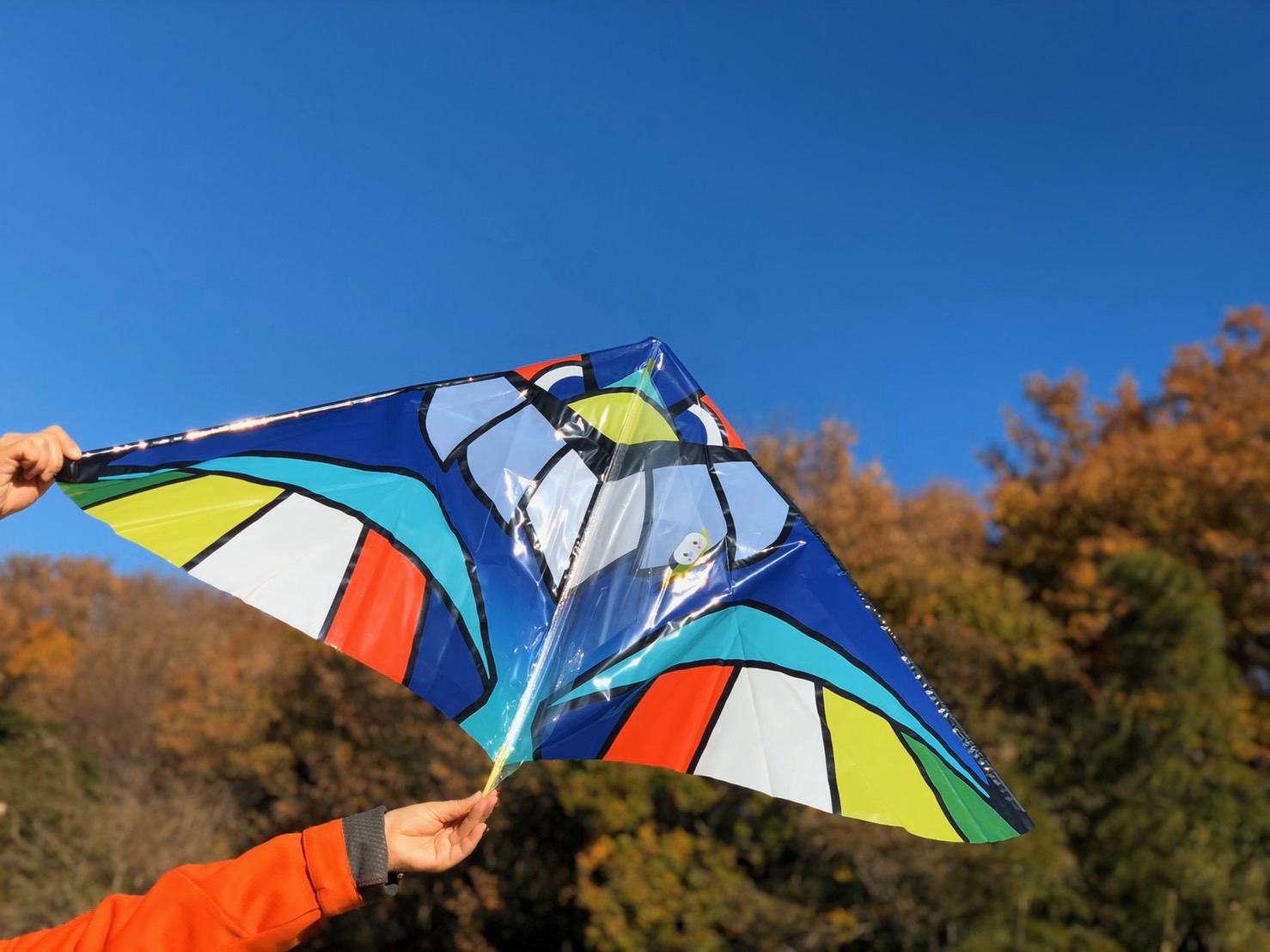 公式 ニジゲンノモリ 大きな芝生広場で 凧あげ をしよう ニジゲンノモリ の大きな芝生広場は絶好の凧あげ場所 電柱に邪魔されることなく 気持ちよく凧があげられます 凧は モリノテラス で好評販売中 買ってすぐ遊べます ツバメカイト