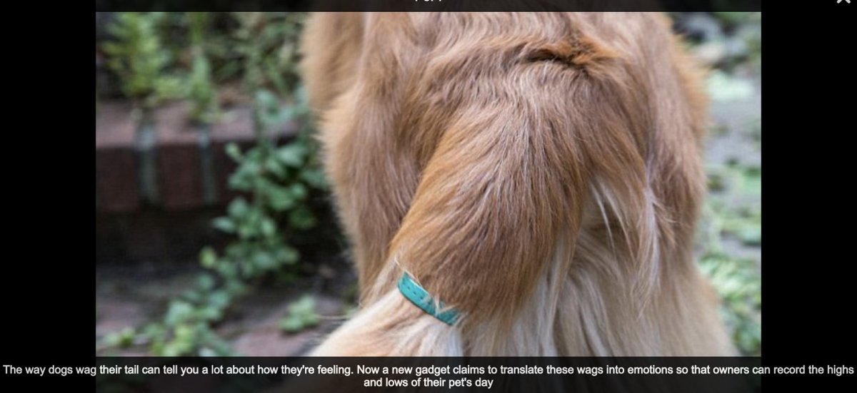 gVallortigara's tweet image. how a brain laterality scientist has lost the opportunity to get rich :-)
#asymmetry #laterality #brainasymmetry #bicameralmind
@ocklenBLOG @parentetweet @giannigipi

dailymail.co.uk/sciencetech/ar…