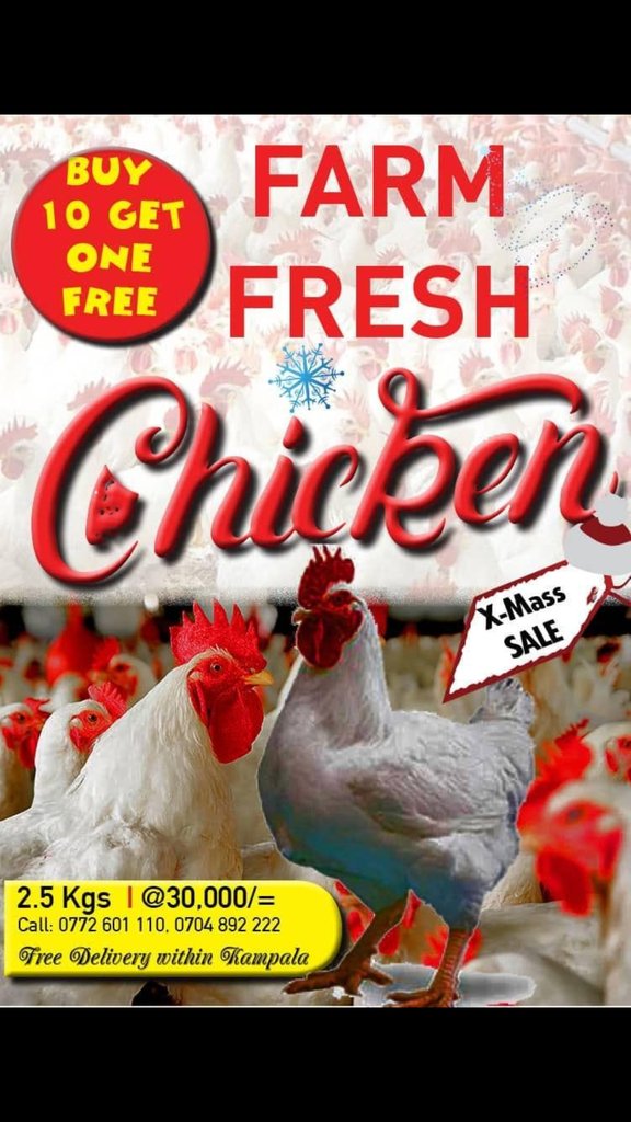 SueNsibirwa's tweet photo. #FarmFreshChicken #DeliveredToYou #Christmas https://t.co/vDu2387evu