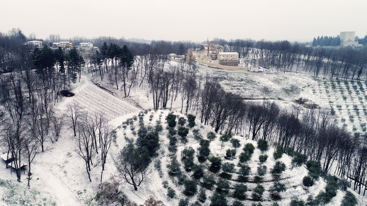 Between Christmas and New Year's Eve give yourself a walk with those you love to enjoy this timeless place.
Snowy or kissed by the sun the Montello hills offer a breathtaking view.

#happyholiday #montello #abbaziadisanteustachio #visititaly #winelover #GiustiWine