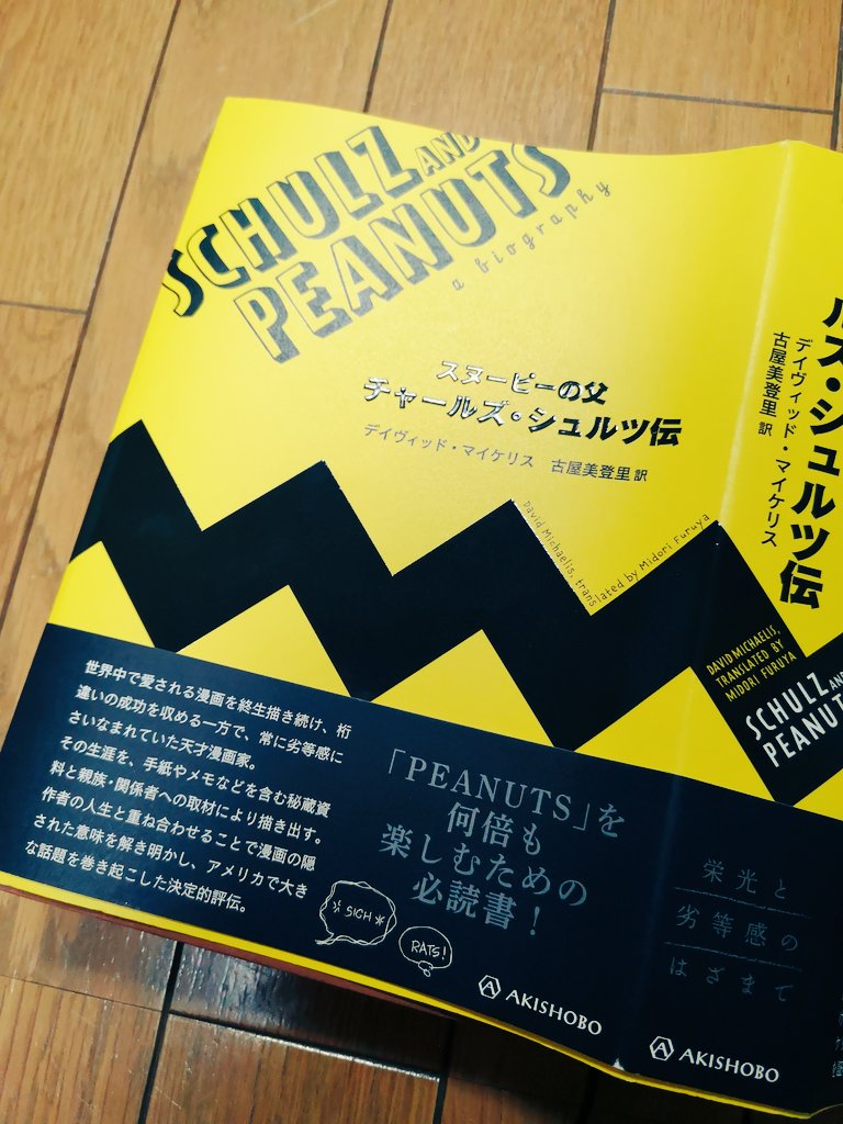 私は「長く苦しみながらも沈み込まない」男性キャラクターが一番好きなので、思春期よりチャーリーブラウンやあだち充漫画の主人公を愛でています 