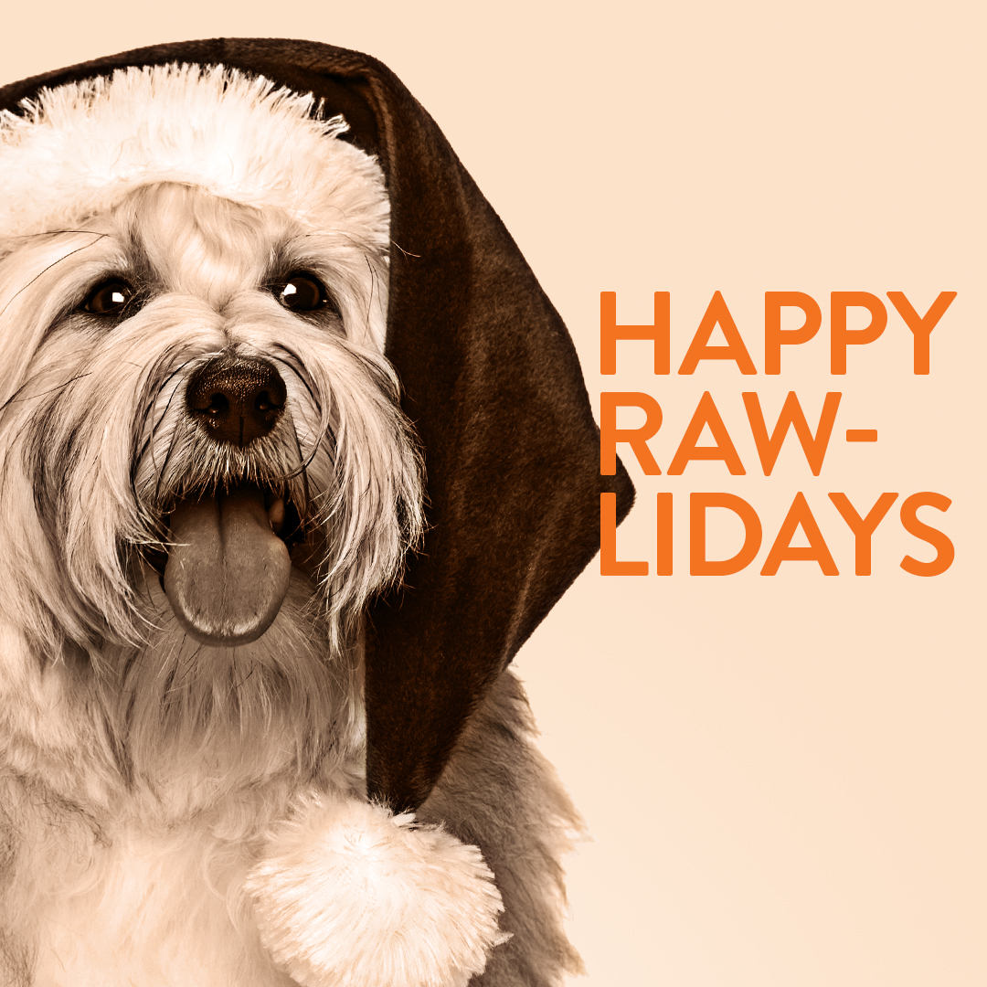 TotallyRawDog's tweet photo. Tis the Season. Have a Safe and Totally Happy Raw-lidays from our paws to yours! #happyholidays #staysafe https://t.co/lQR2tqkKBQ
