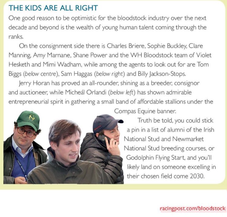 MichealOrlandi's tweet photo. Really appreciate the mention from ⁦@rpbloodstock⁩ however an update of the photo archive is called for ... #TheyWontBeSwipingRight #CompasStallions #SpeedDating #SmoothDating #DreamDating https://t.co/AngGqy10OP