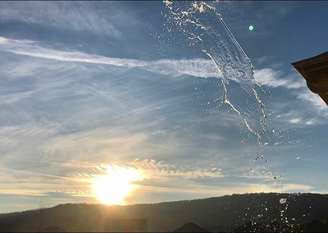 coyjbailey's tweet photo. Why not have fun with a cool sunset picture when you are changing the water in Sadie’s water bowl? https://t.co/hrUegclG0N https://t.co/xEVn22myRS