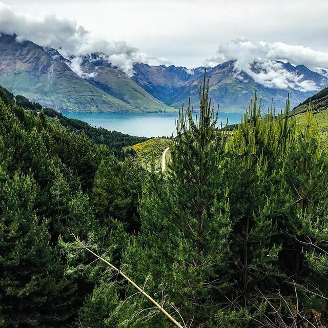 ⚓️Snorkels To Snow❄️ tweet media