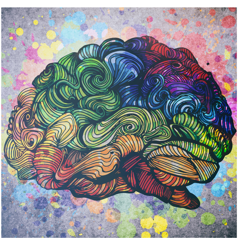 RecoverFromTbi's tweet photo. Great article from @dlhampton on accessing the power of #neuroplasticity to rewire your brain after #braininjury https://t.co/dSTlWnPzwl https://t.co/rlOtg6HYXE