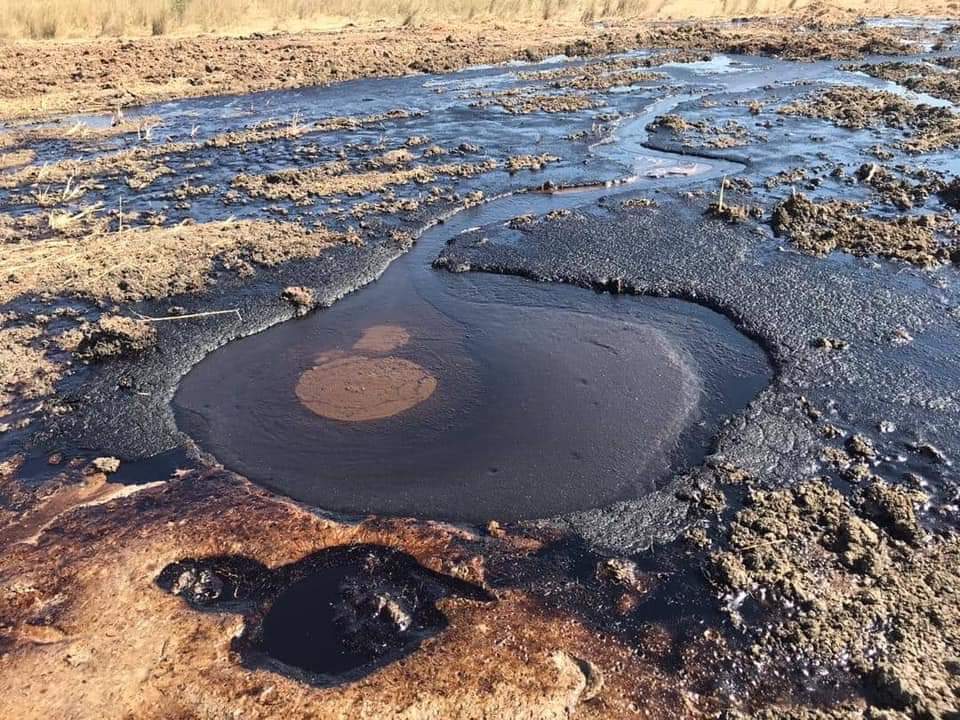 PrinceMalish's tweet photo. #SSOT the silence by the #SouthSudan gov't & operator #GPOC on #SSDFreshOilSpill show act of irresponsible investment You cant enjoy the proceeds while the environ is left to suffer. @CscnrSouth condemns this lack of environ protection @AJENews @BBCBusiness @business @ReutersBiz https://t.co/OLgYzu4fZw