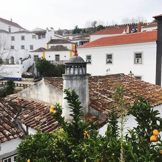 Oranges can be found in many cultures this time of year. They represent what once was once considered a special treat during this season of giving. While an orange is a simple gesture in today's age that could be overlooked, we hope you can take part in … ift.tt/2MhwOUg