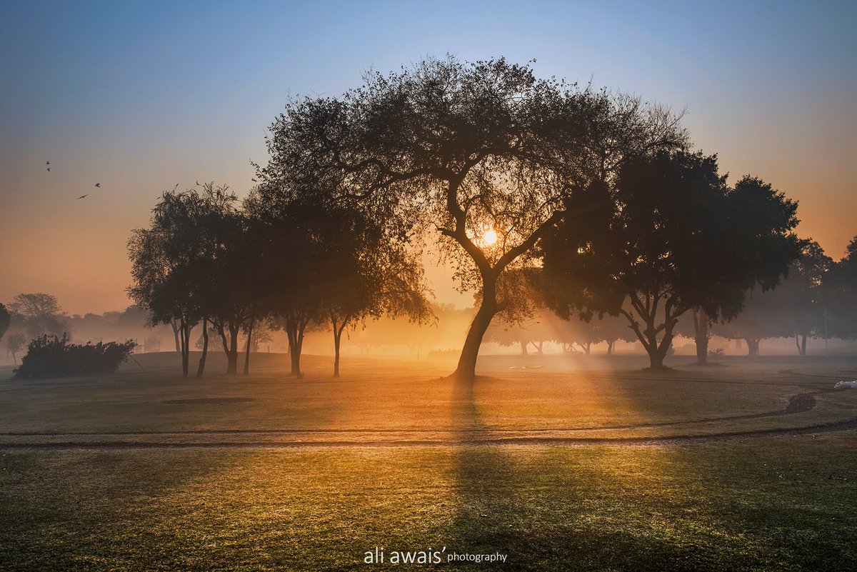 ali_awais's tweet photo. Misty Winter Mornings in Model Town Park, Lahore  

#yebhihaipakistan #aliawaisphotography #pakistan #aliawais #beautyofpakistan #landscapephotography #landscapesofpakistan #nature 
@ImranKhanPTI
 #tourisminPakistan #travelinPakistan 
@NatGeo https://t.co/g4HaB2Dh9u