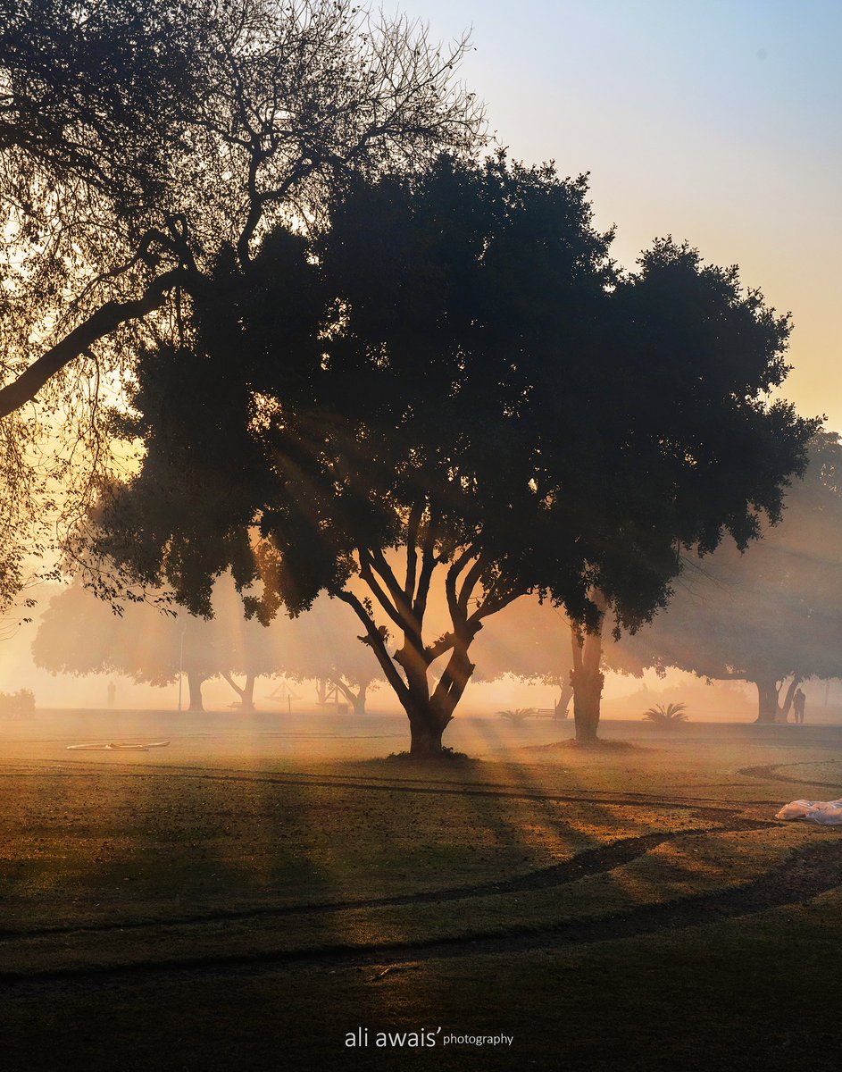 ali_awais's tweet photo. Misty Winter Mornings in Model Town Park, Lahore  

#yebhihaipakistan #aliawaisphotography #pakistan #aliawais #beautyofpakistan #landscapephotography #landscapesofpakistan #nature 
@ImranKhanPTI
 #tourisminPakistan #travelinPakistan 
@NatGeo https://t.co/g4HaB2Dh9u