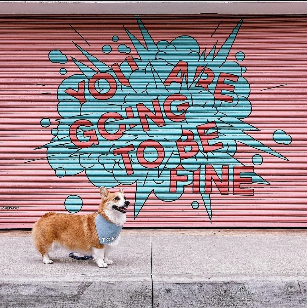 Mr.P's Mental Health Corner tweet media