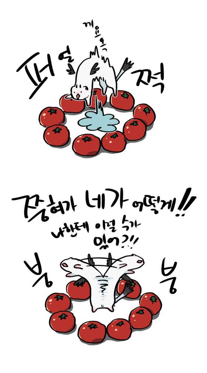 중혁: 그러게 요리할 땐 기웃거리지 말랬지 않나