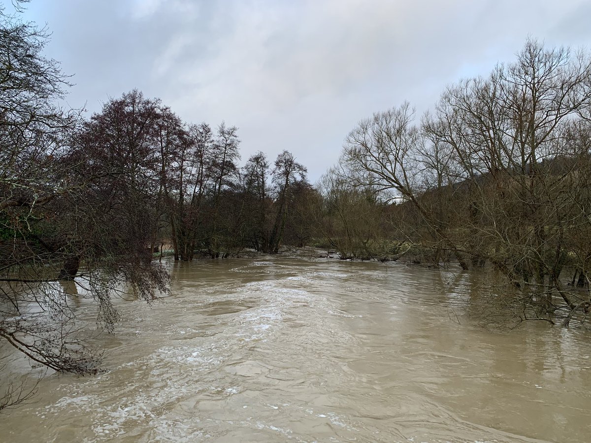 GattinaRosa's tweet photo. River Mole in Pixham, Dorking this morning! #dorking #pixham #flooding https://t.co/hJXl6J00E2