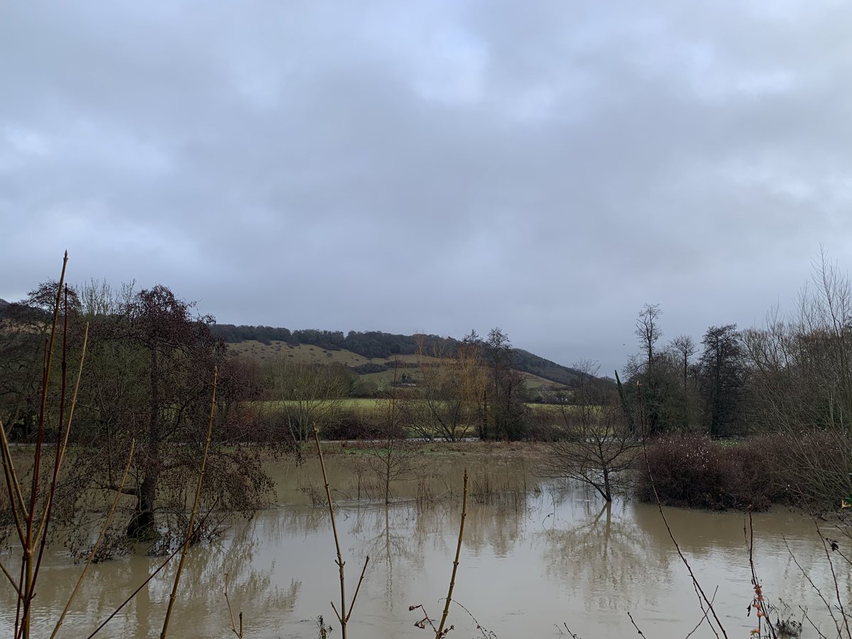 GattinaRosa's tweet photo. River Mole in Pixham, Dorking this morning! #dorking #pixham #flooding https://t.co/hJXl6J00E2