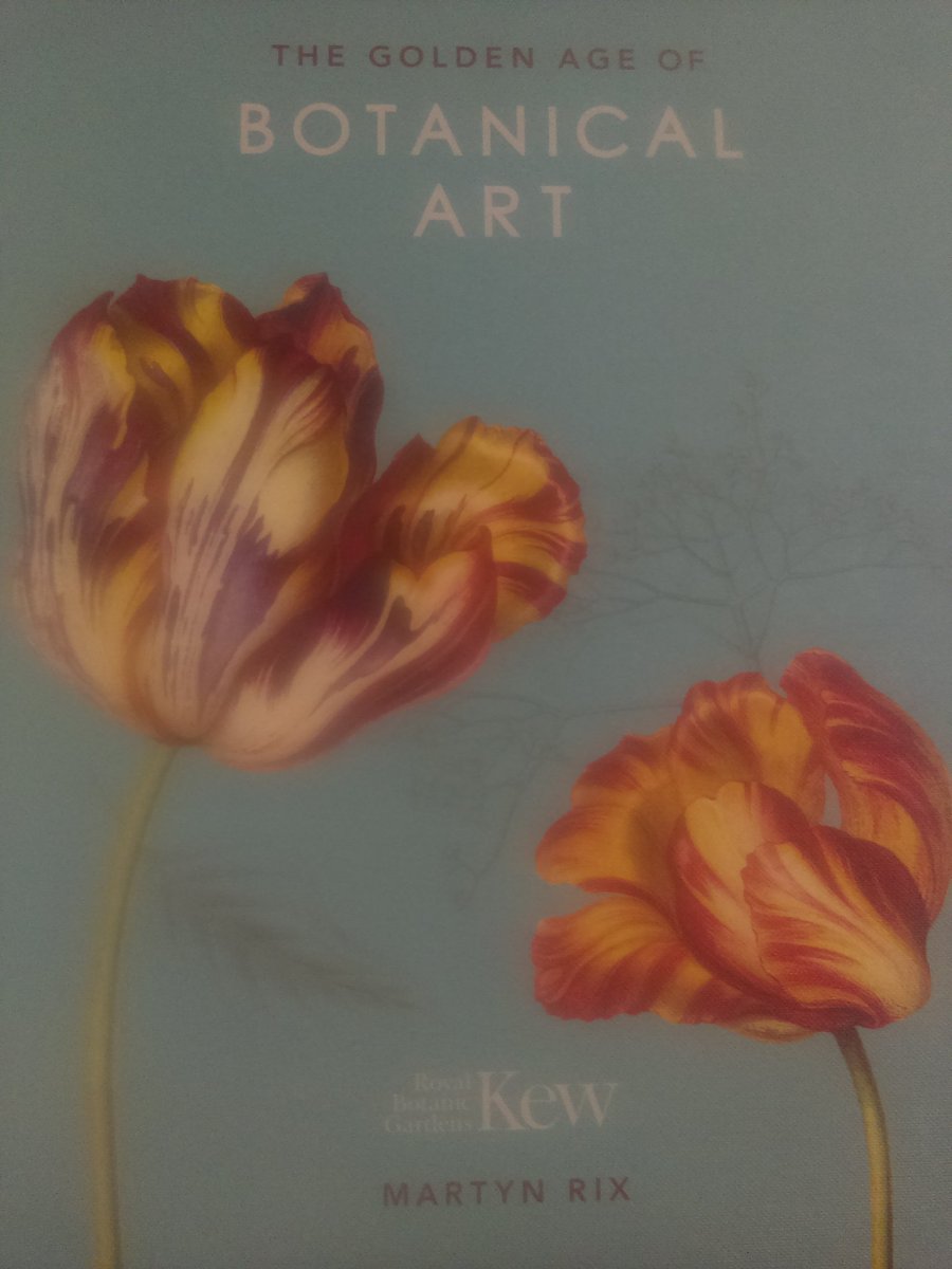 CraftyArchaeLib's tweet photo. Twas my last Thursday (this term) #cataloguing in Tech. Services and what a book to finish on. #beautiful 
I love botanical illustration/art, but I love the holidays even more. See you in January for more cataloguing fun 😉📚 https://t.co/RZjH1ttZ3y
