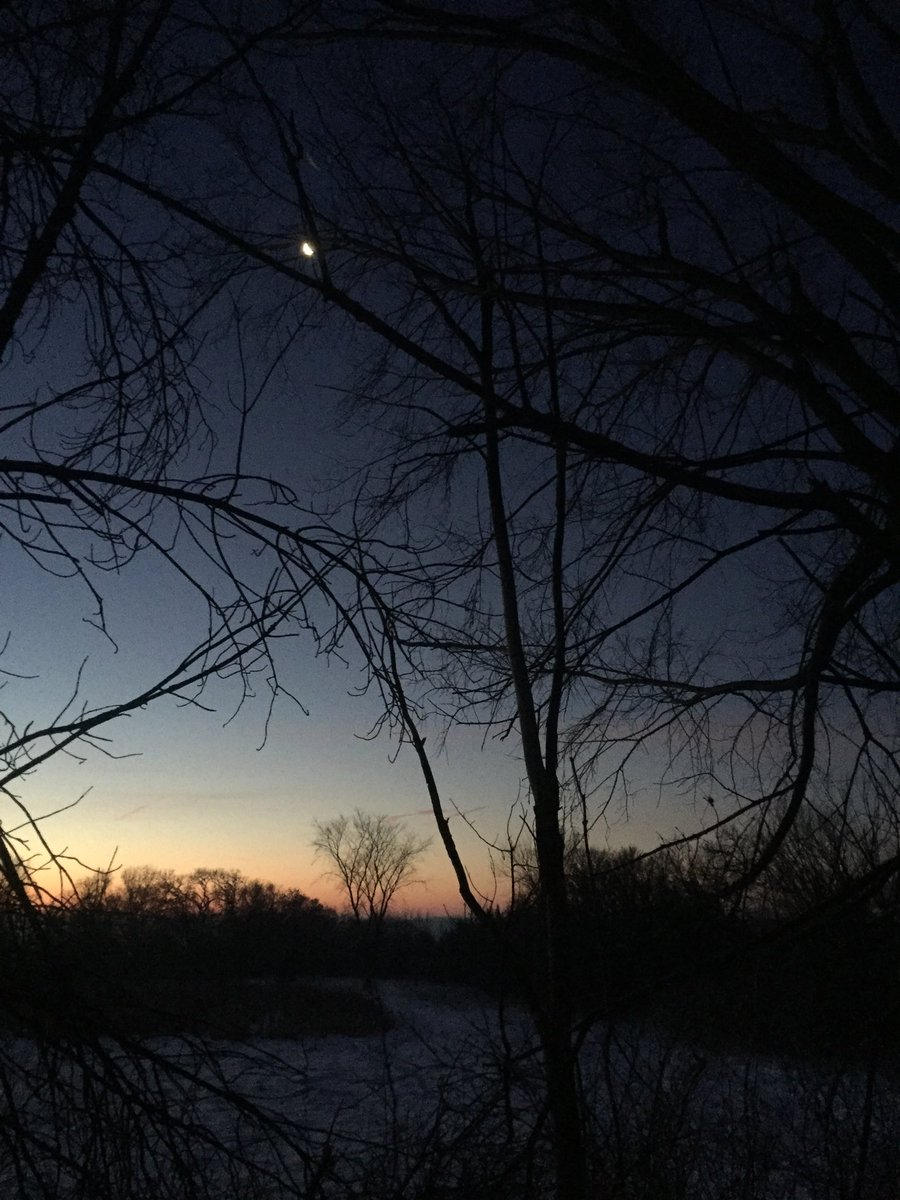 PBWeiss's tweet image. Nothing happening in elevated deer stand unless you count a beautiful moon and sun about to rise. Come to think of it, those things really count for me, they are huge part of why I hunt.
