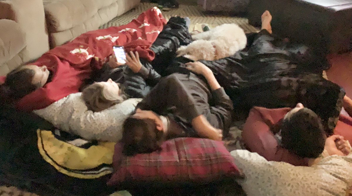 PDubsOSLC's tweet photo. What’s better than having all your precious kids piled on the floor with a dog flopped on top? https://t.co/B06QuVBx7u