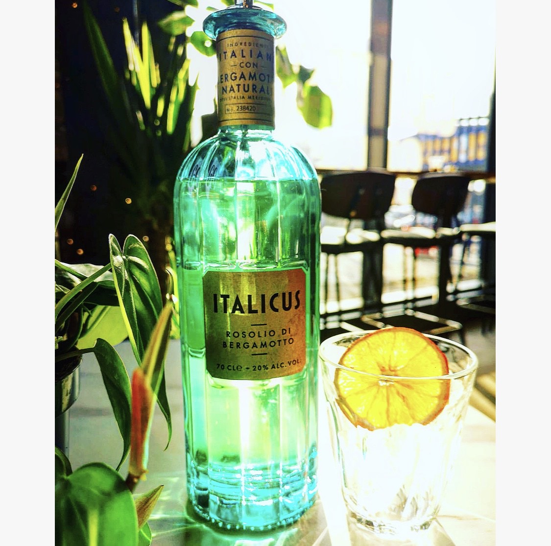 chapters_of_us tweet media