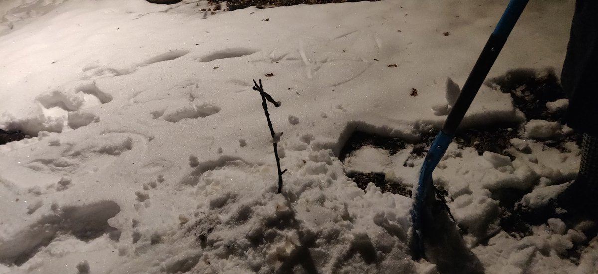 moon_goons's tweet photo. Marry chrimbus. May all of your hatchets be buried under a layer of snow. https://t.co/Noep4GS2ZU