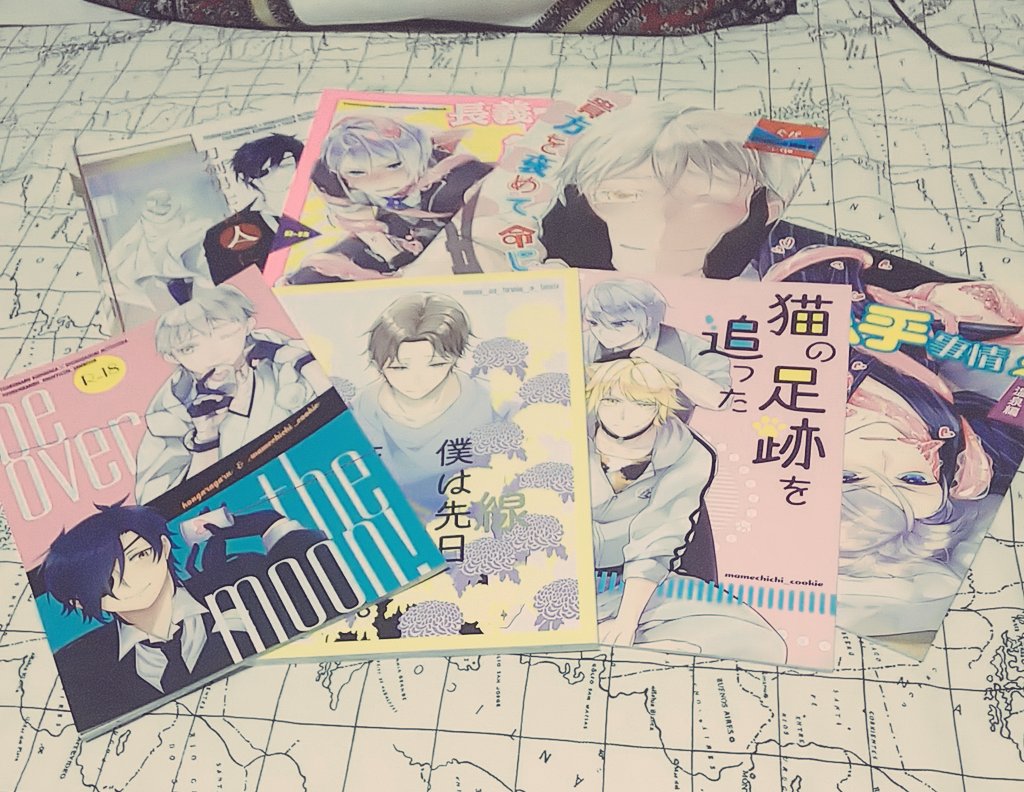 私も今年描いた本引っ張ってきた～! ティアの折本が一冊だけもうなくていれられなかった… 